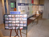 P1170995