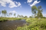 S1img_6483_2